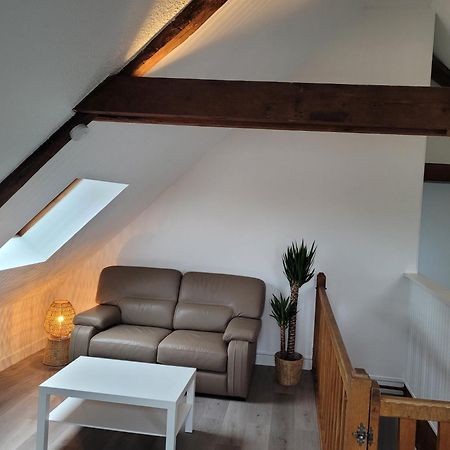 Appartement Avec Vue Sur Loire 布鲁瓦 外观 照片