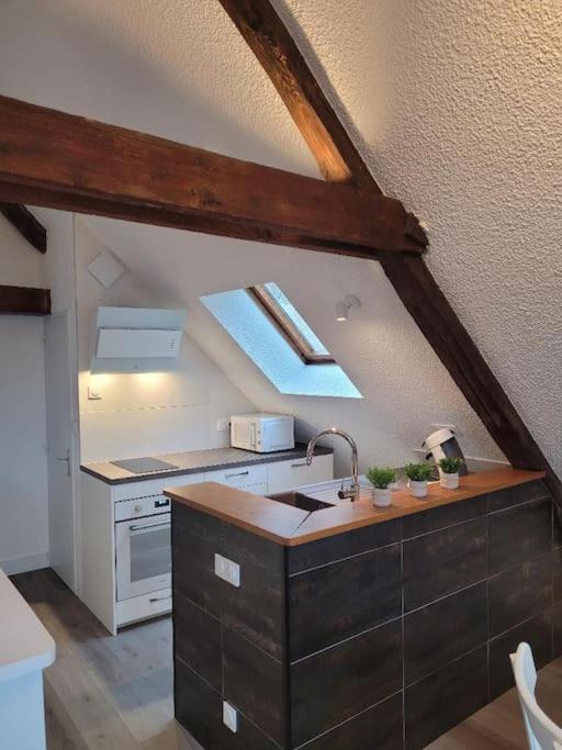 Appartement Avec Vue Sur Loire 布鲁瓦 外观 照片