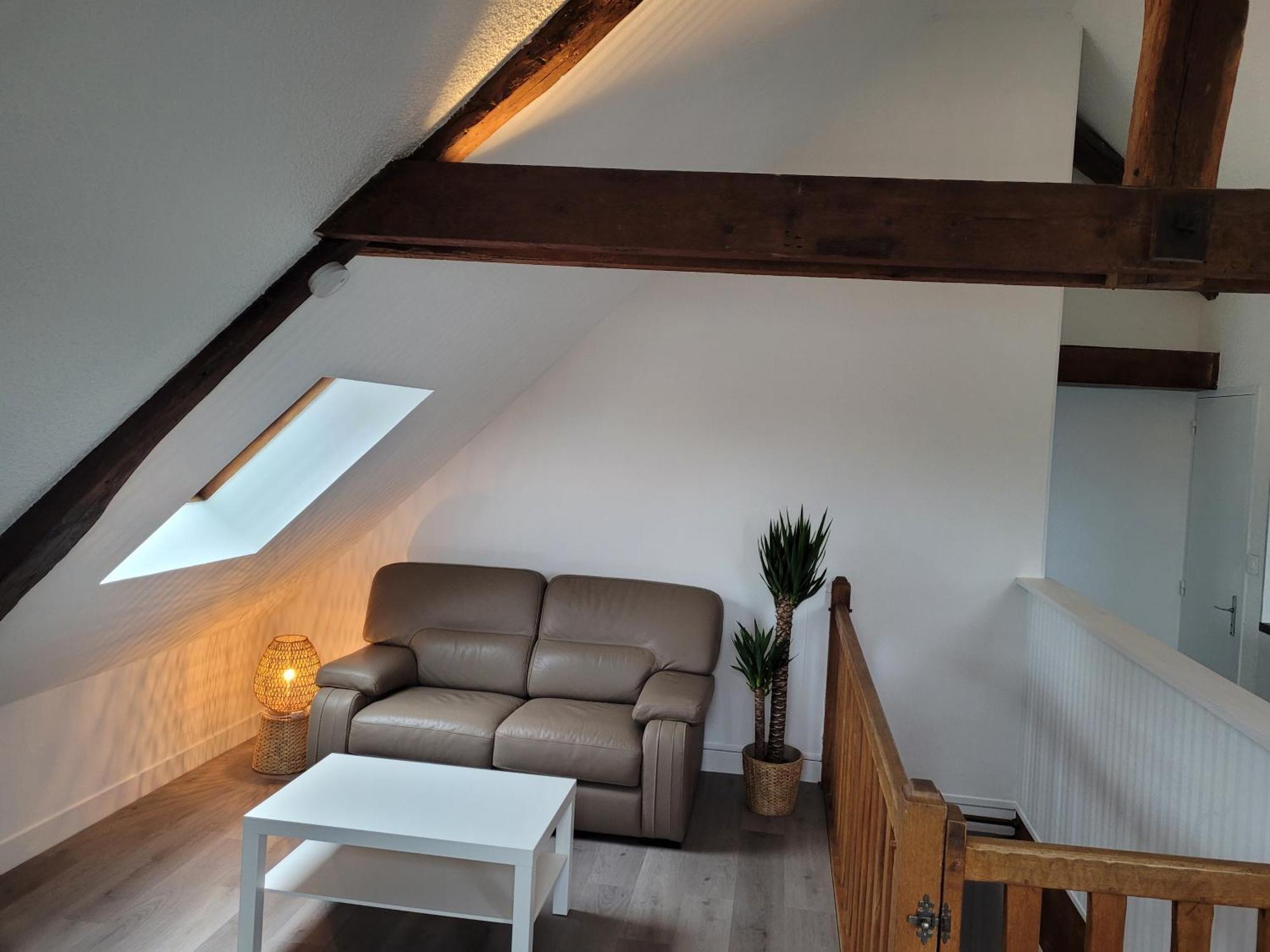 Appartement Avec Vue Sur Loire 布鲁瓦 外观 照片