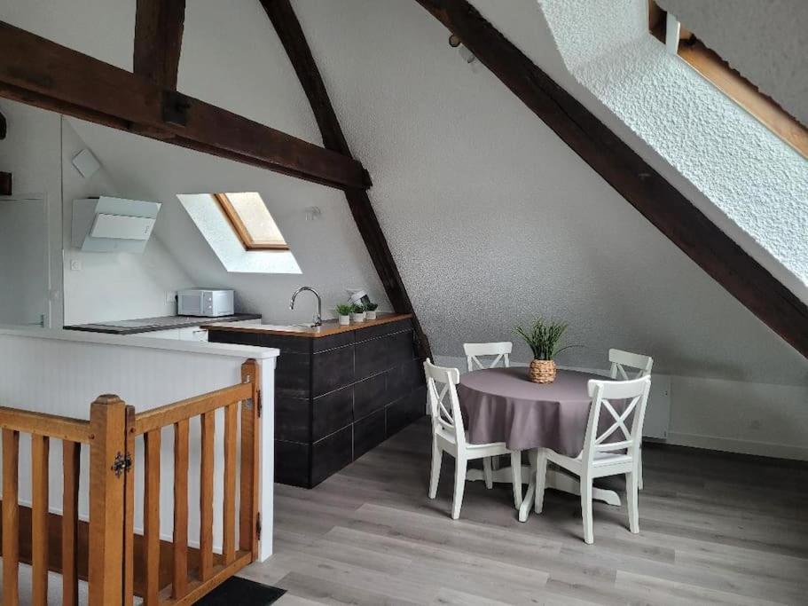 Appartement Avec Vue Sur Loire 布鲁瓦 外观 照片