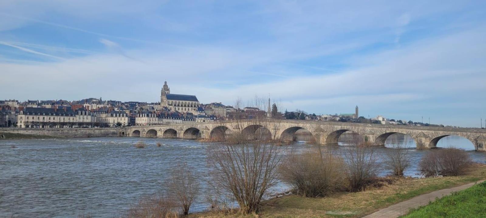 Appartement Avec Vue Sur Loire 布鲁瓦 外观 照片