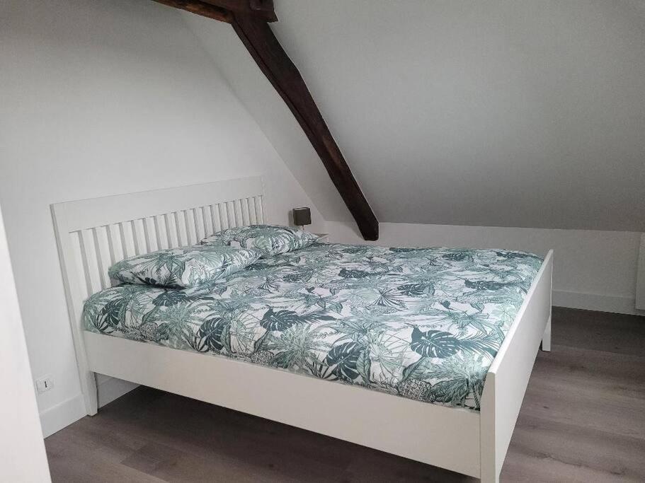 Appartement Avec Vue Sur Loire 布鲁瓦 外观 照片